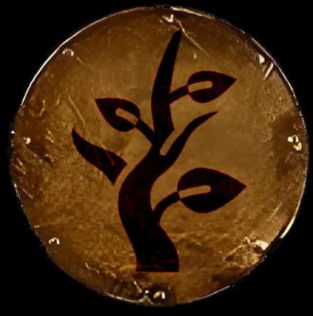 Il Grigone delle Foreste